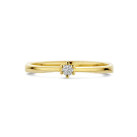 vDam 14k Geelgouden Ring met Diamant 4031786