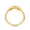 vDam 14k Geelgouden Ring met Zirkonia 4031556