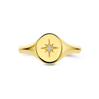 vDam 14k Geelgouden Ring met Zirkonia 4031556