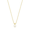 vDam 14k Geelgouden Collier met Parel 4031845