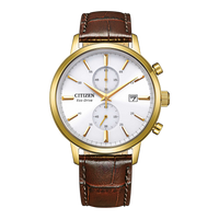 Citizen Eco-Drive CA7062-15A