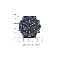 Citizen Promaster Sky CB5006-02L