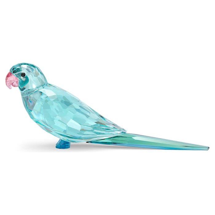 Swarovski Jungle Beats Blauwe Parakeet Paco 5574519