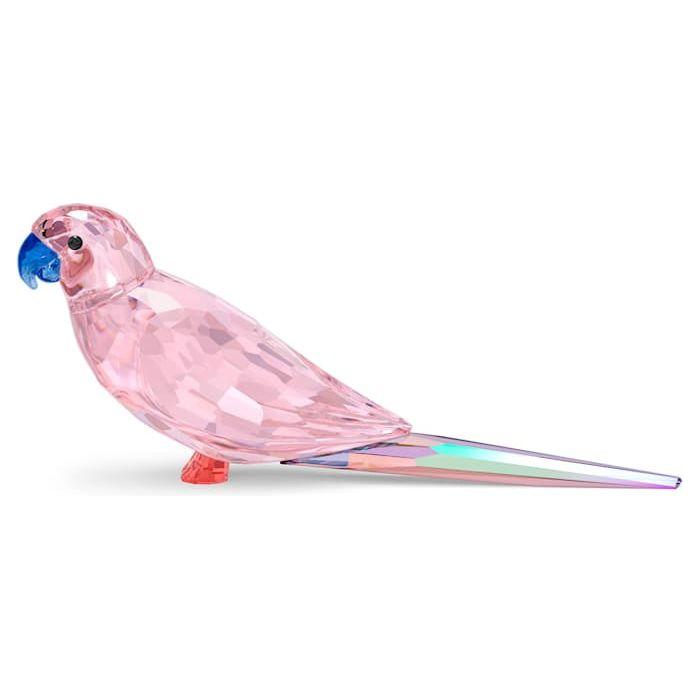 Swarovski Jungle Beats Roze Parakeet Cha Cha 5557848