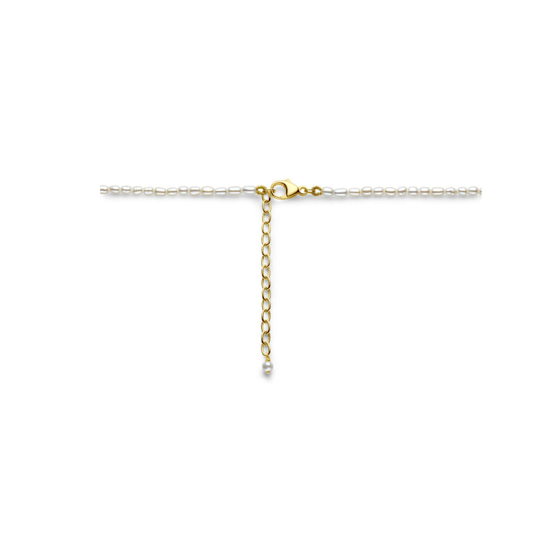 vDam 14k Geelgouden Parel Collier 4028710