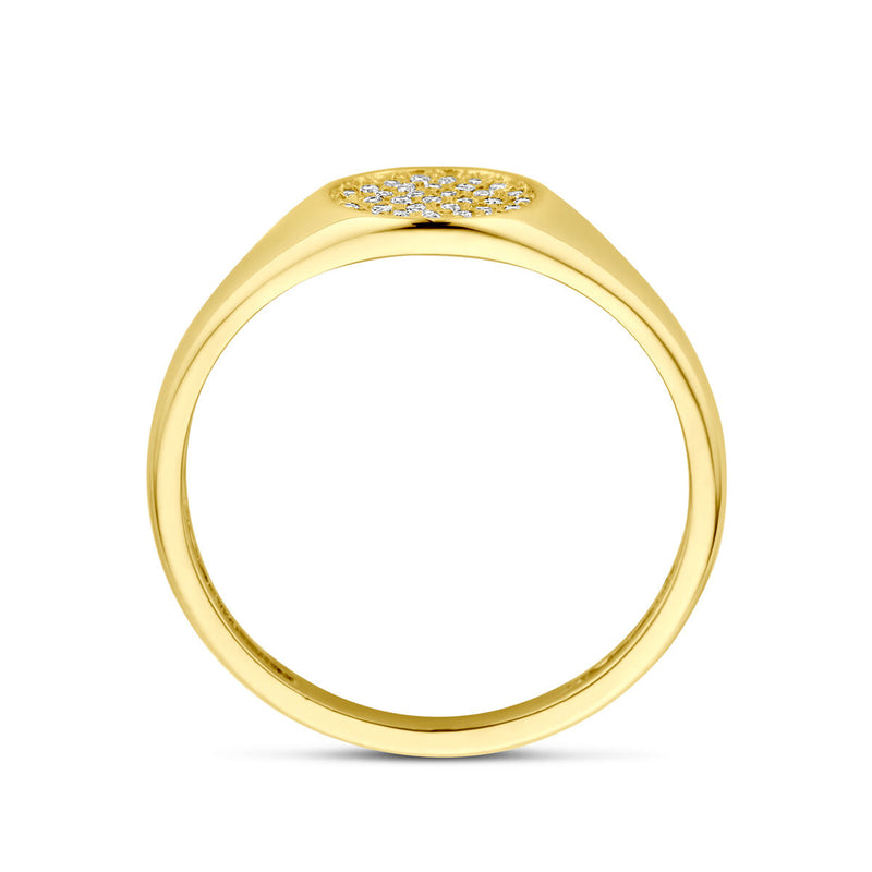 vDam 14k Geelgouden Zirkonia Ring 4031073