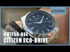 Citizen Eco-Drive AW1750-85E