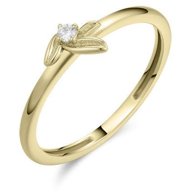 Gouden Ring met Bloemetje VGR026-54